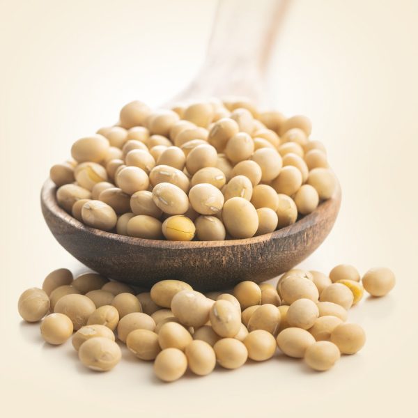White-Soybean