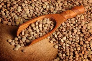 HORSE GRAM