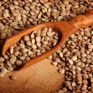 HORSE GRAM