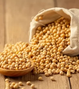 White Soybean Dal