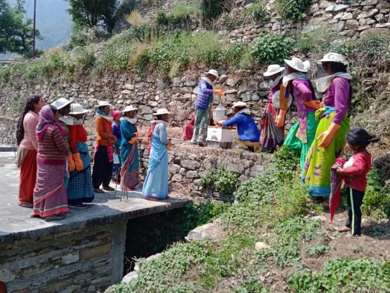 Beekeeping in Uttarakhand